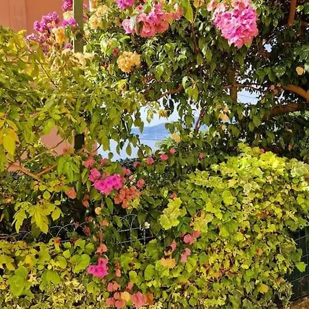 Giardino Panoramico Sul Mare, Un Angolo Di Liguria *