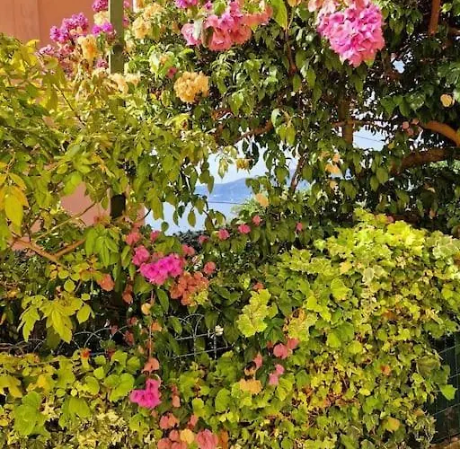 Giardino Panoramico Sul Mare, Un Angolo Di Liguria *